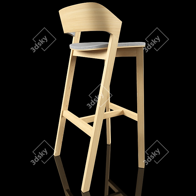 Elegant Merano Chair by TON 3D model image 2