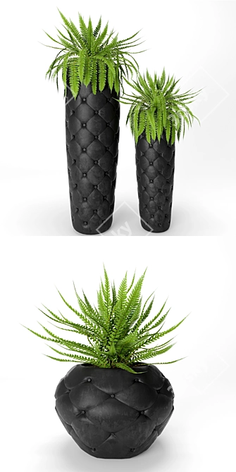 Elegant Turmalin Black Club Planter 3D model image 2