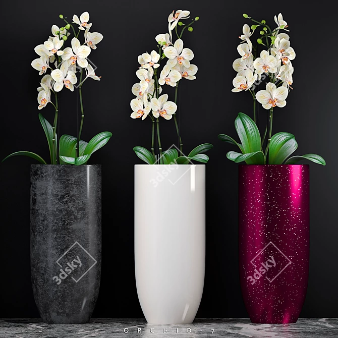 Luxurious Orchid7: the Ultimate Floral Masterpiece 3D model image 1