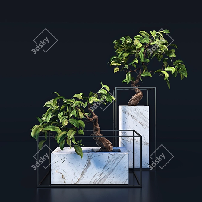  Exquisite Bonsai Tree - Realistic 3D Model 3D model image 3
