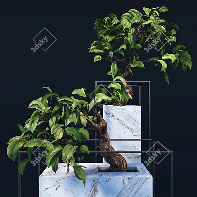  Exquisite Bonsai Tree - Realistic 3D Model 3D model image 1