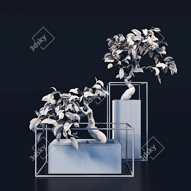  Exquisite Bonsai Tree - Realistic 3D Model 3D model image 2