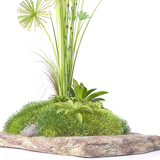 Natural Stone Decor with Moss and Meadow Plants 3D model image 2