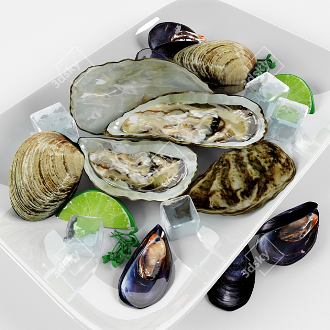 Delicious Bivalve Delights 3D model image 1