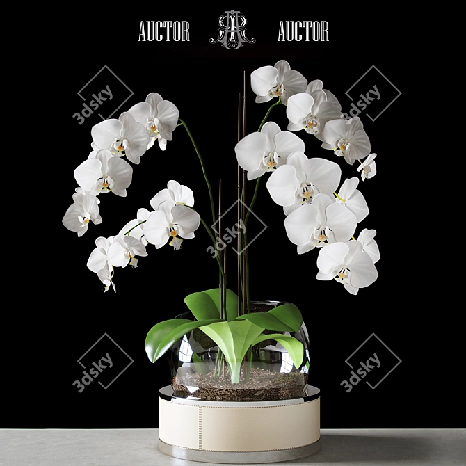 Elegance Blooms: Orchid in Glass Cloche 3D model image 1