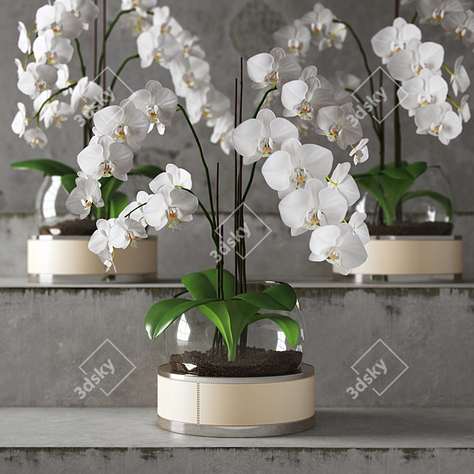 Elegance Blooms: Orchid in Glass Cloche 3D model image 2