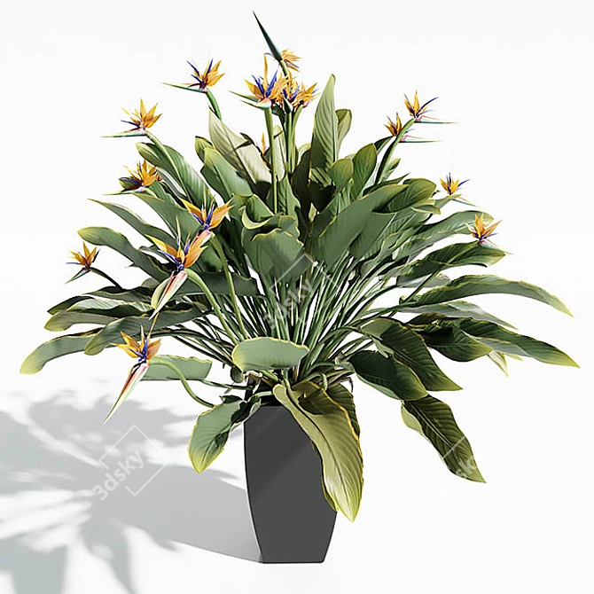Tropical Bird of Paradise: 3D Decor Plant 3D model image 1