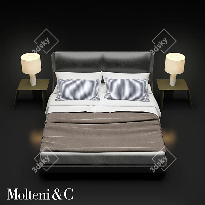 Modern Double Bed by Molteni 3D model image 2