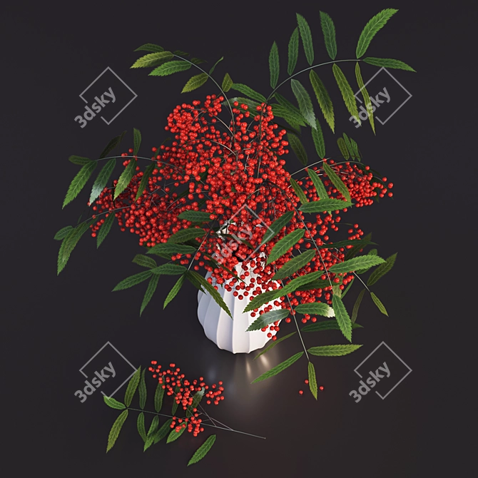 Title: Rowan Blossom in a Vase 3D model image 2