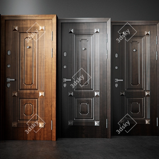 Torex Professor: Elegant Metal Entrance Doors 3D model image 2