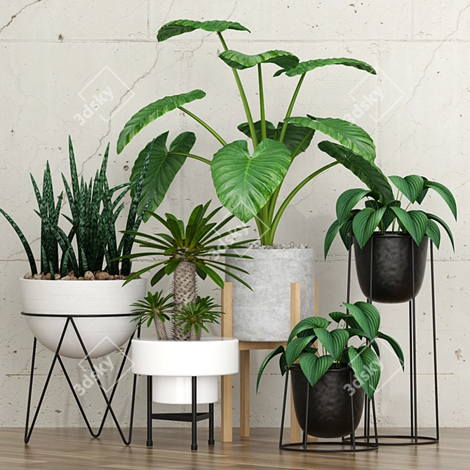 Green Oasis: Live Potted Plants 3D model image 1