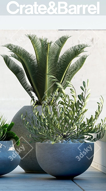 Lush Greenery Collection 3D model image 2