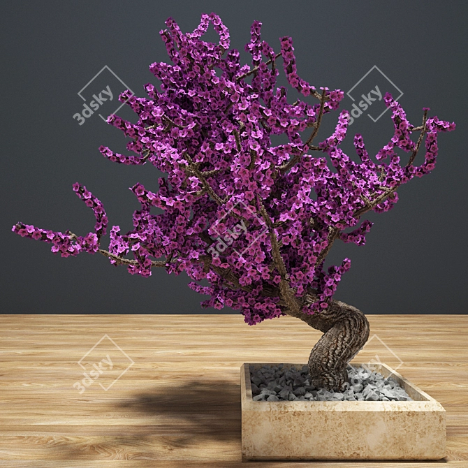 Botanical Bliss: Bonsai Delight 3D model image 1