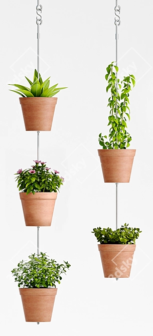 Boho Plant Hanging Set 3D model image 2