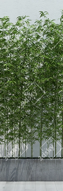 Eco-Friendly Bamboo 2: Lightweight and Versatile 3D model image 2