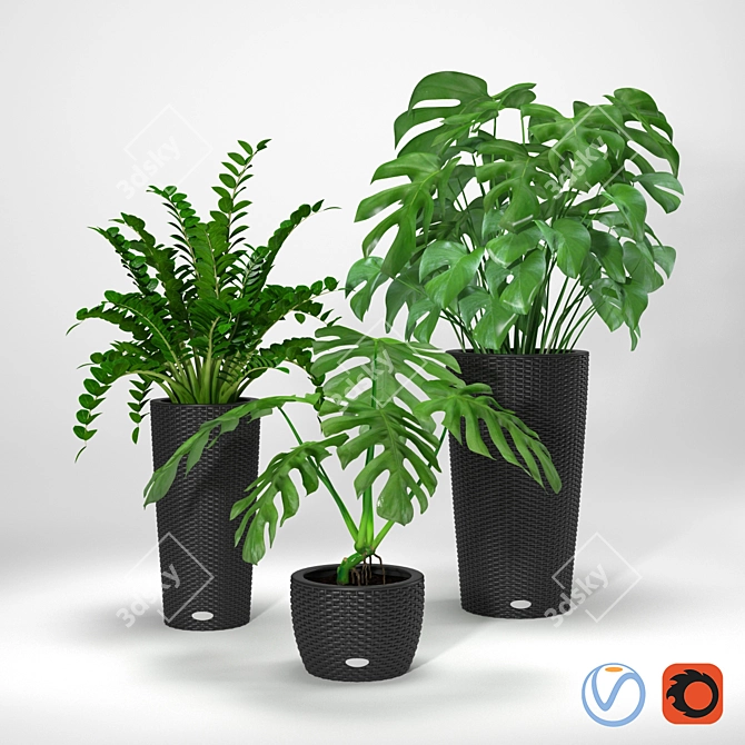 Title: Tropical Oasis: Lush Plants in Wicker Pots 3D model image 1