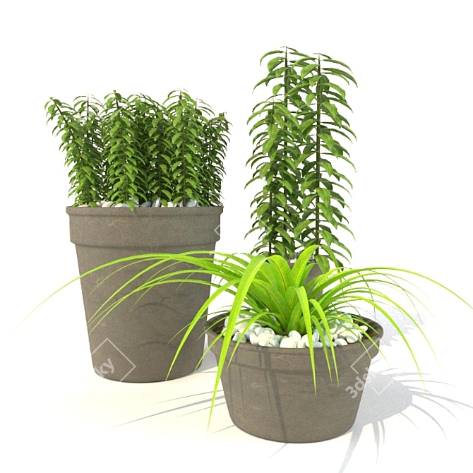 Botanical Bliss: 3D Plant Collection 3D model image 1