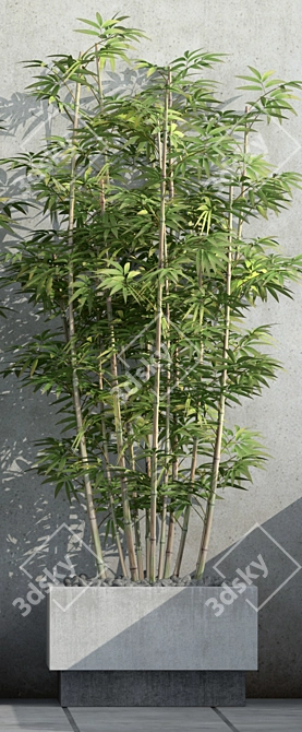 Sustainable Bamboo 3D Model 3D model image 2