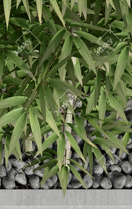 Sustainable Bamboo 3D Model 3D model image 3