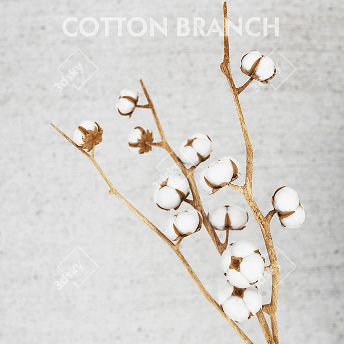 Cotton Bliss: Versatile 3Dmax Model 3D model image 1
