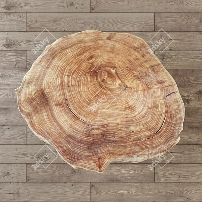 Title: Rustic Slab Wood Coffee Table 3D model image 2