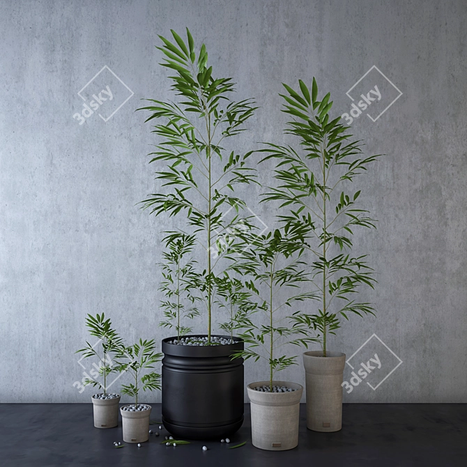 Exquisite Plant Pot Collection 3D model image 1