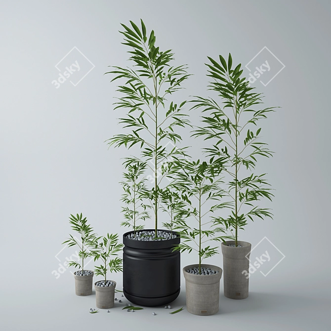 Exquisite Plant Pot Collection 3D model image 2