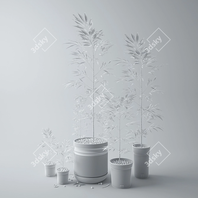 Exquisite Plant Pot Collection 3D model image 3