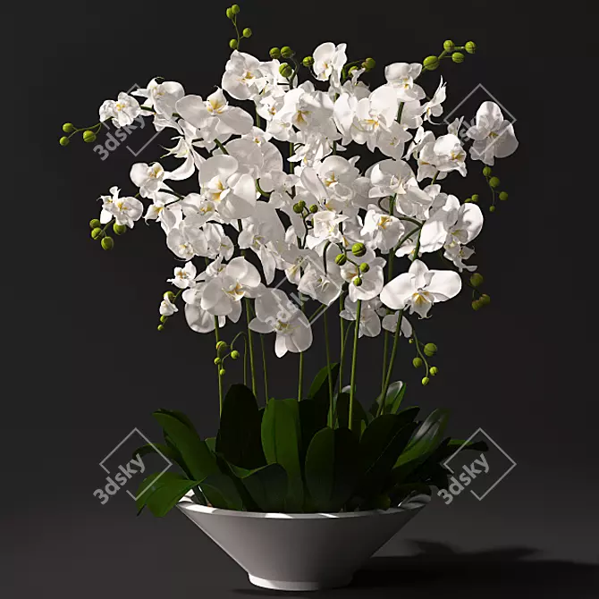 Elegant Orchid Bouquet 3D model image 1