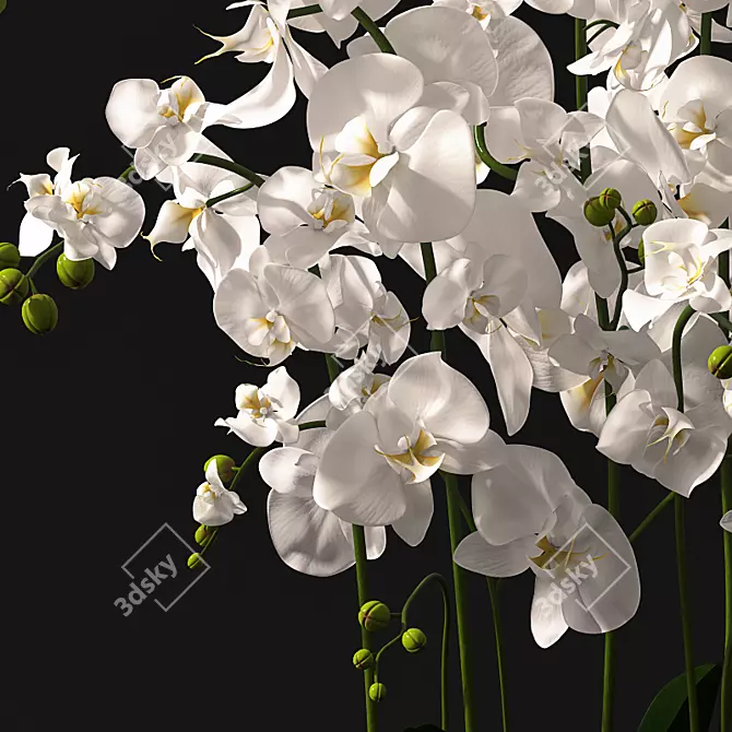 Elegant Orchid Bouquet 3D model image 2