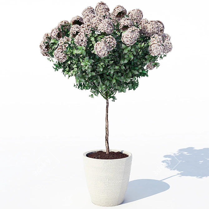 Exquisite Hydrangea Blooms 3D model image 1