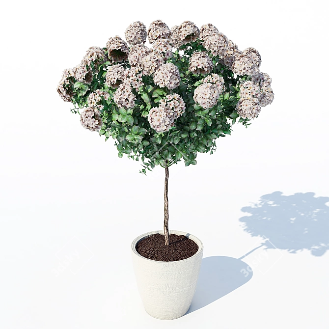 Exquisite Hydrangea Blooms 3D model image 2