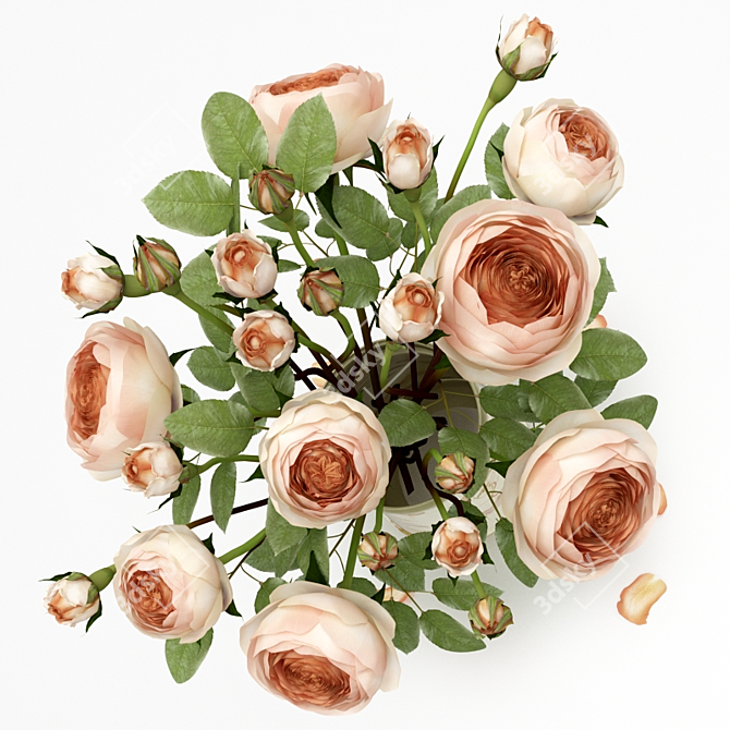 Timeless Beauty: Classic Rose 3D model image 2