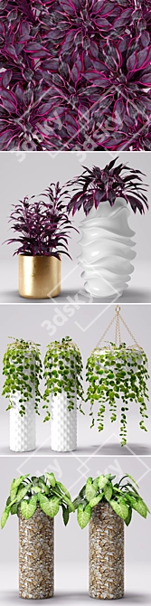 Botanical Beauties: Potted Plants 3D model image 2