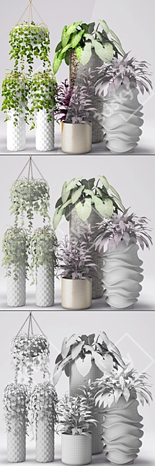 Botanical Beauties: Potted Plants 3D model image 3