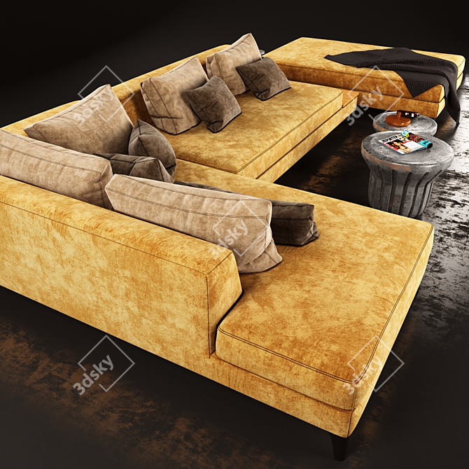 Modern Design Roche Bobois Sofa 3D model image 2