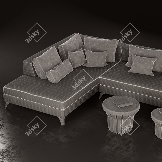 Modern Design Roche Bobois Sofa 3D model image 3