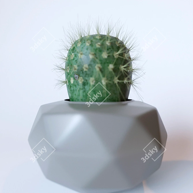 Title: Prickly Potted Cactus Duo 3D model image 3