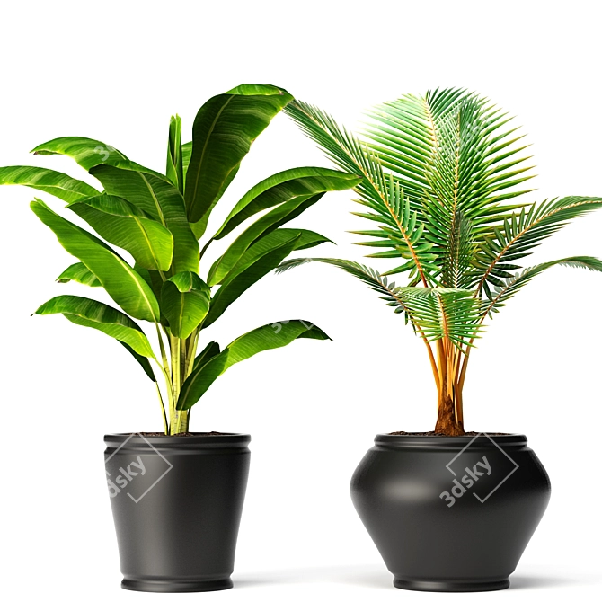 Tropical Paradise: Banana Coconut Palm 3D model image 1