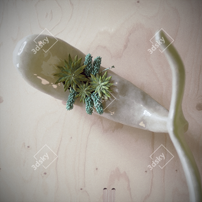 Whale Succulent: Stunning 3D Model 3D model image 3