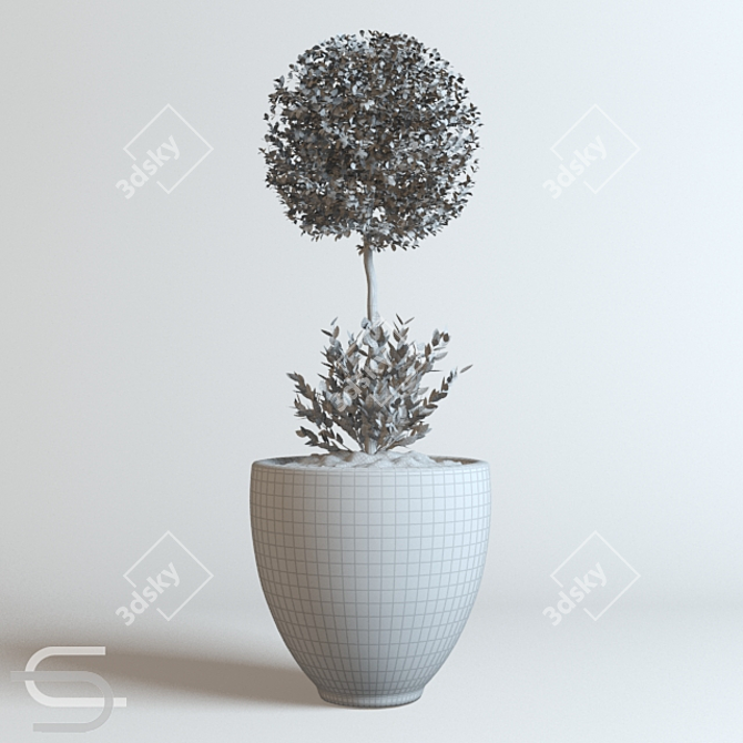 Stylish Indoor Plant CEDE 3D model image 2