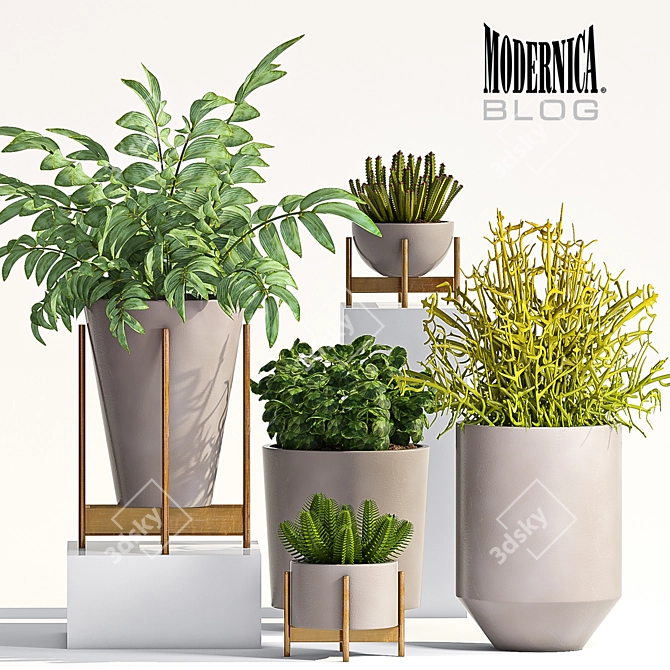 Modern Plant Set - 66 3D model image 1