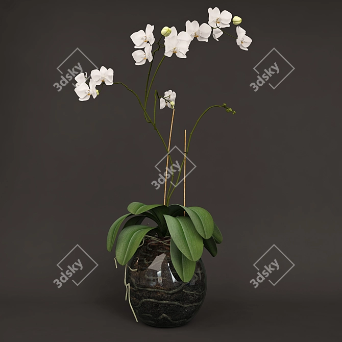 Elegant Glass Vase Orchid 3D model image 1