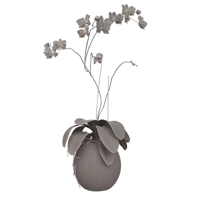 Elegant Glass Vase Orchid 3D model image 3