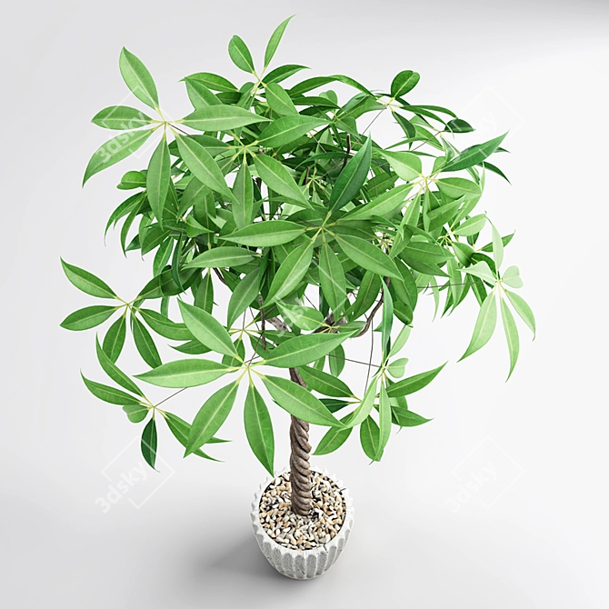 3D Plant Design: Maximize Visual Impact 3D model image 2