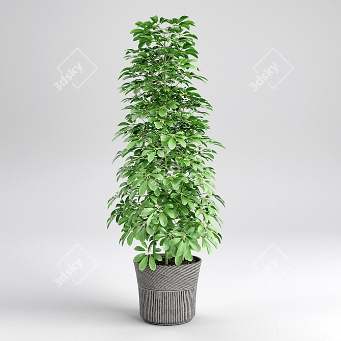 3D Plant Model: Realistic Greenery 3D model image 1