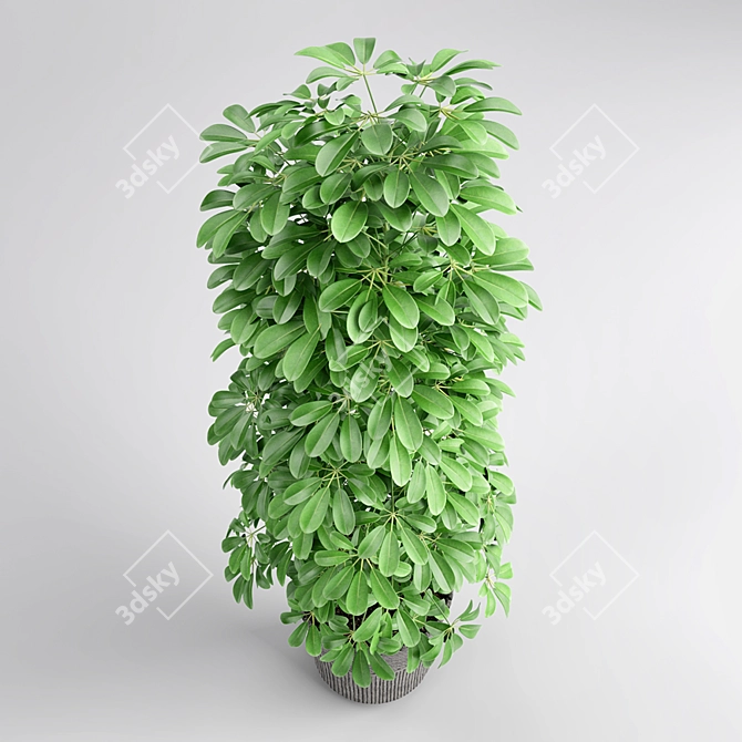 3D Plant Model: Realistic Greenery 3D model image 2