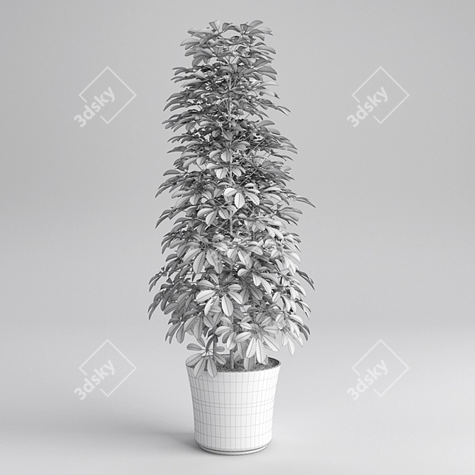3D Plant Model: Realistic Greenery 3D model image 3