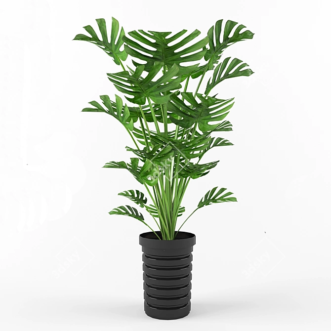 Elegant Monstera Deliciosa 3D model image 1