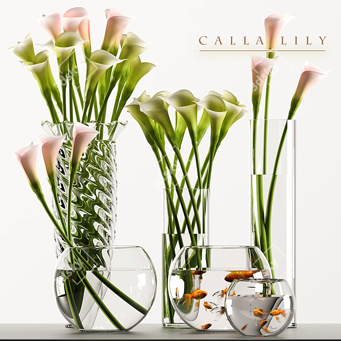 Elegant Calla Lily Fish Aquarium 3D model image 1